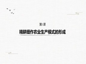 2019-2020学年岳麓版必修二：第1课 精耕细作农业生产模式的形成 课件 36张