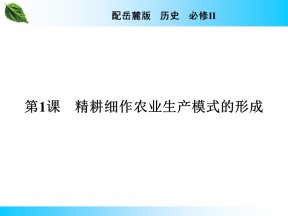 2019-2020学年岳麓版必修2 第1课 精耕细作农业生产模式的形成 课件（29张）
