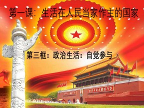 2019-2020学年 人教版高中政治必修二1.3政治生活：自觉参与 (共12张PPT)