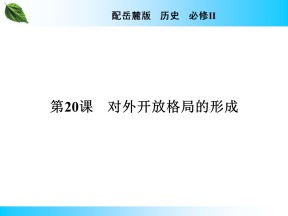 2019-2020学年岳麓版必修2 第20课　对外开放格局的形成 课件（21张）