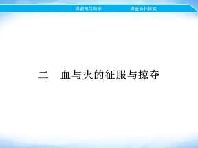 2019-2020学年人民版必修2 专题五 二　血与火的征服与掠夺 课件（22张）
