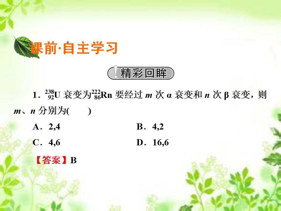 2019-2020学年粤教版选修3-5 第4章 第3节 放射性同位素 课件（33张）第2页