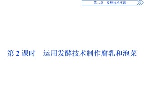 2019-2020学年新苏教版选修1 第二章 第一节 第2课时　运用发酵技术制作腐乳和泡菜 课件（54张）