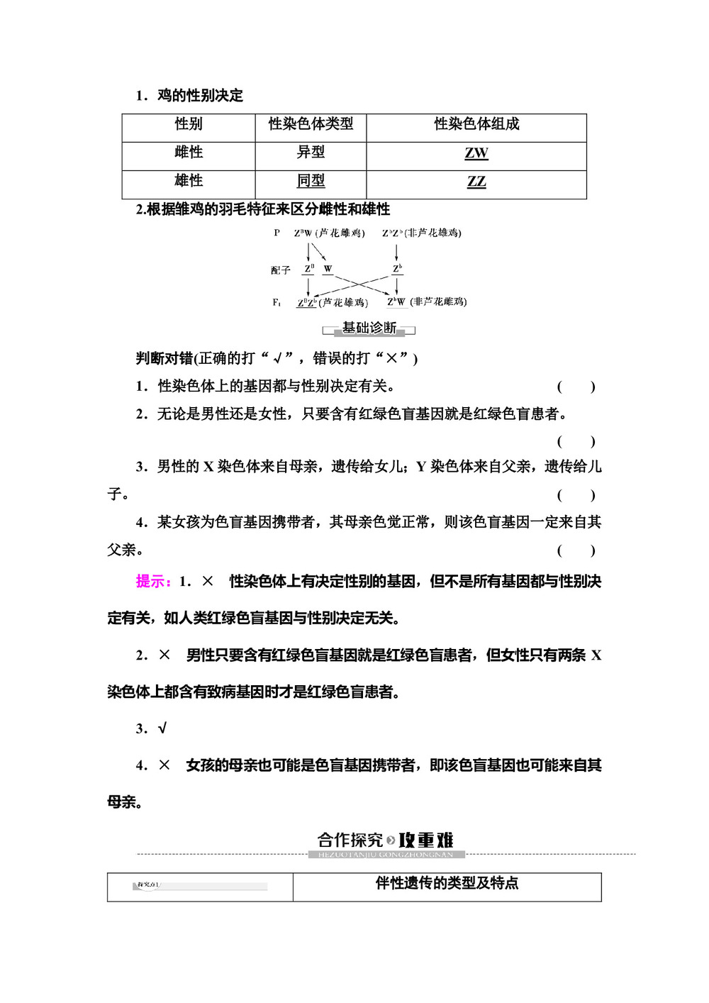 2019-2020学年人教版必修2  第2章 第3节 伴性遗传 学案第2页