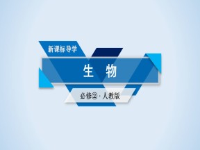 2019-2020学年人教版 必修二 基因对性状的控制  课件 （47张）