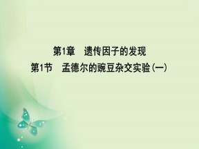 2019-2020学年人教版必修二 第1章　第1节　第1课时　一对相对性状的杂交实验过程和解释 课件（35张）