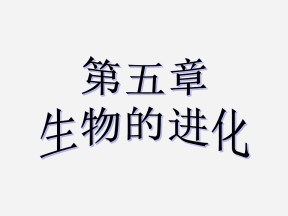 2019-2020学年 苏教版 必修2  生物进化和生物多样性    课件  （44张）