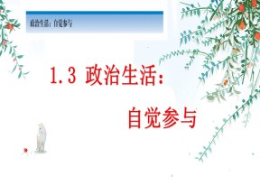 2019-2020学年 人教版高中政治必修二1.3 政治生活：自觉参与（17张PPT）