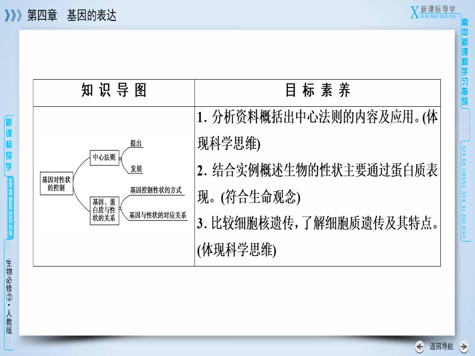 2019-2020学年人教版 必修二 基因对性状的控制  课件 （47张）第3页