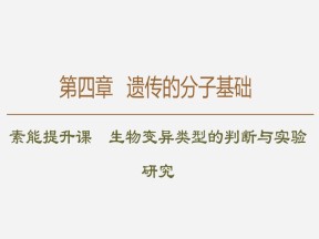 2019-2020学年 苏教版 必修2 素能提升课 生物变异类型的判断与实验研究  课件  （27张）