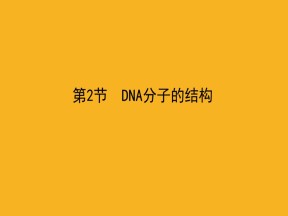 2019-2020学年 人教版 必修2DNA分子的结构 课件  （66张）