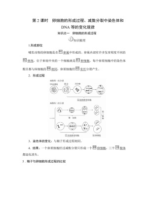 2019-2020学年人教版必修2 第2章  第1节  第2课时 卵细胞的形成过程、减数分裂中染色体和DNA等的变化规律 学案(1)
