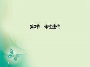 2019-2020学年人教版必修二 第2章　第3节　伴性遗传 课件（42张）