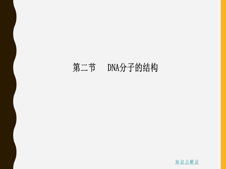 2019-2020学年 人教版 必修2 DNA分子的结构 课件  （39张）第2页
