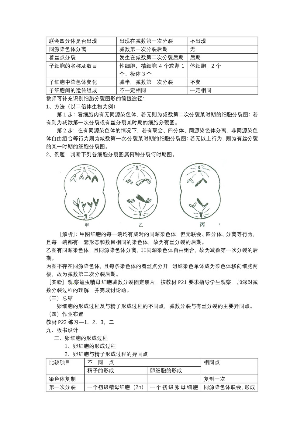 2019-2020学年 人教版  必修二 减数分裂和受精作用 教案第3页