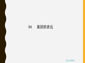 2019-2020学年 人教版 必修2  基因对性状的控制  课件  （38张）