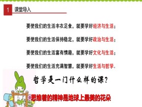 2019-2020学年人教版高中政治必修四 1.1 生活处处有哲学 课件