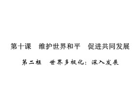 2019-2020学年人教A版高中政治必修二配套课件：第4单元 当代国际社会 第10课 第2框 课件（15张）