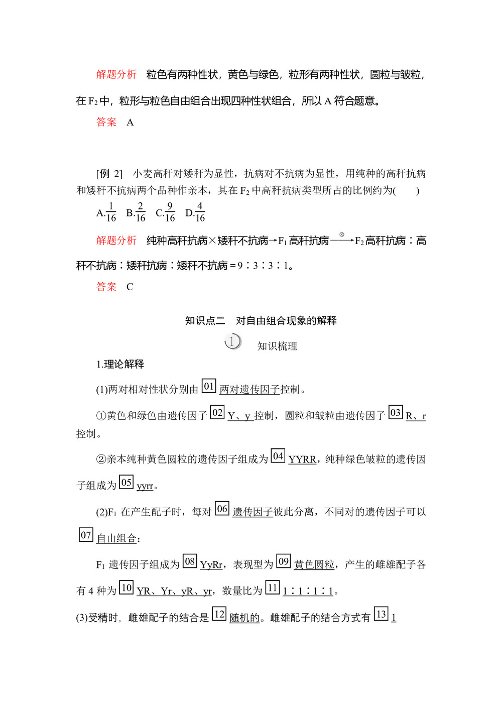 2019-2020学年人教版必修2 第1章  第2节  第1课时 孟德尔的豌豆杂交实验(二) 学案第3页