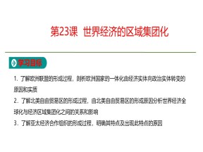 2019-2020学年人教版必修2  第8单元第23课  世界经济的区域集团化 课件（18张）