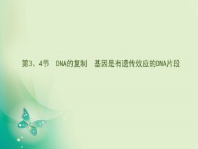 2019-2020学年人教版必修二 3.3-4DNA的复制　基因是有遗传效应的DNA片段 课件（93张）