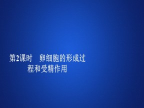 2019-2020学年 人教版 必修2 卵细胞的形成过程和受精作用  课件  （30张）