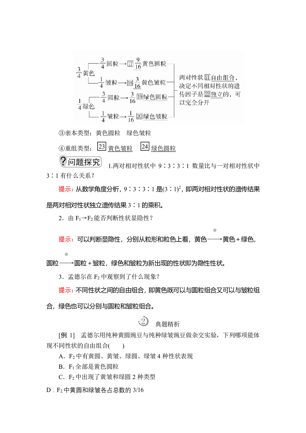 2019-2020学年人教版必修2 第1章  第2节  第1课时 孟德尔的豌豆杂交实验(二) 学案第2页