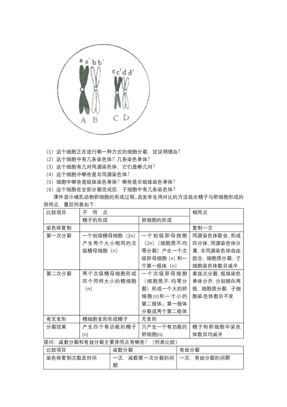 2019-2020学年 人教版  必修二 减数分裂和受精作用 教案第2页