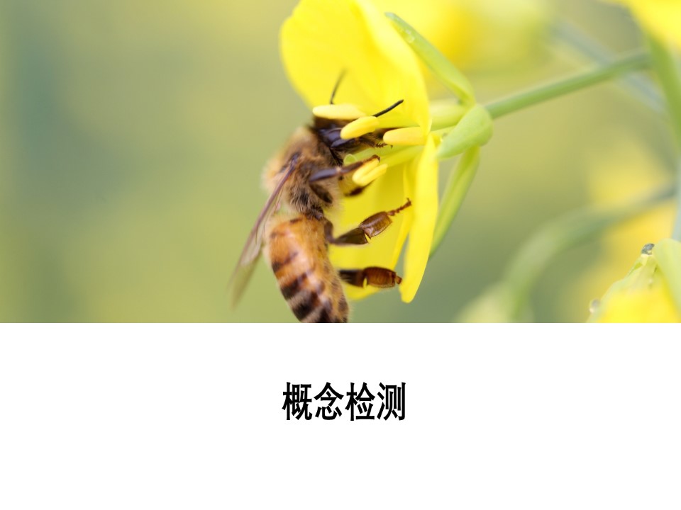 2019-2020学年 人教版 必修2   基因是有遗传效应的DNA片段  课件  （56张）第2页