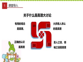 2019-2020学年人教版高中政治必修四 6.2 在实践中追求和发展真理-课件