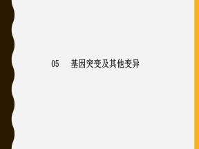2019-2020学年 人教版 必修2  人类遗传病  课件  （40张）