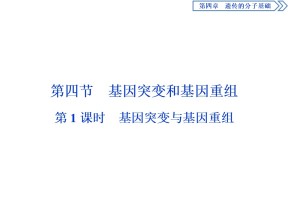 2019-2020学年新苏教版必修2 第四章 第四节　第1课时　基因突变与基因重组 课件（43张）