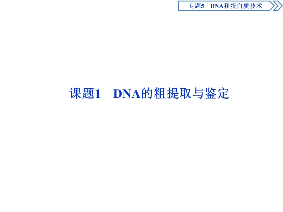 2019-2020学年人教版选修1 专题5 课题1　DNA的粗提取与鉴定 课件（55张）第2页