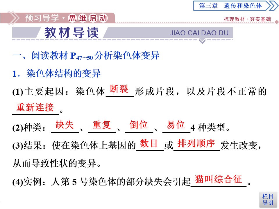 2019-2020学年新苏教版必修2 第三章 第三节　染色体变异及其应用 课件（47张）第3页