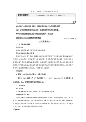 2019-2020学年鲁科版选修6 主题2 课题2　认识发生在盐溶液中的化学反应 学案