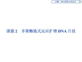2019-2020学年人教版选修1 专题5 课题2　多聚酶链式反应扩增DNA片段 课件（48张）