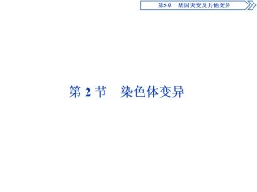 2019-2020学年新人教版必修2 第5章 第2节　染色体变异 课件（41张）