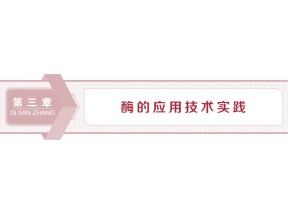 2019-2020学年新苏教版选修1 第三章 第一节 酶的制备和应用 课件（66张）
