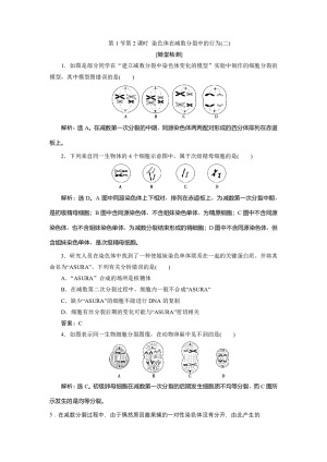 2019-2020学年北师大版必修2 第2章 第1节第2课时 染色体在减数分裂中的行为(二) 作业