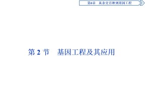 2019-2020学年新人教版必修2 第6章 第2节　基因工程及其应用 课件（27张）