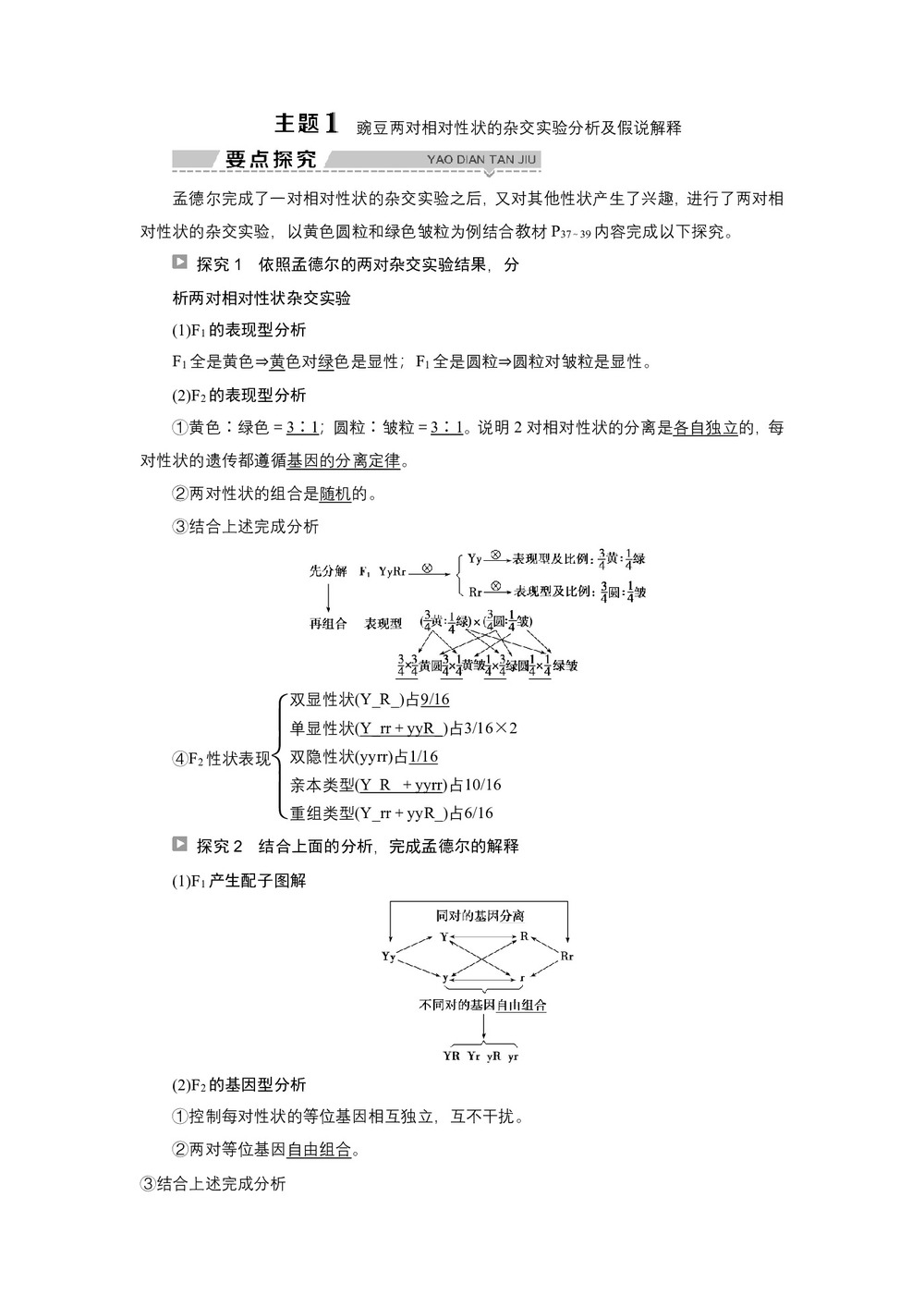 2019-2020学年新苏教版必修2 第三章 第二节 第1课时 基因的自由组合定律 学案第3页