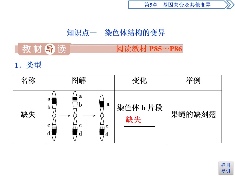 2019-2020学年新人教版必修2 第5章 第2节　染色体变异 课件（41张）第3页