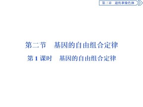 2019-2020学年新苏教版必修2 第三章 第二节　第1课时　基因的自由组合定律 课件（51张）