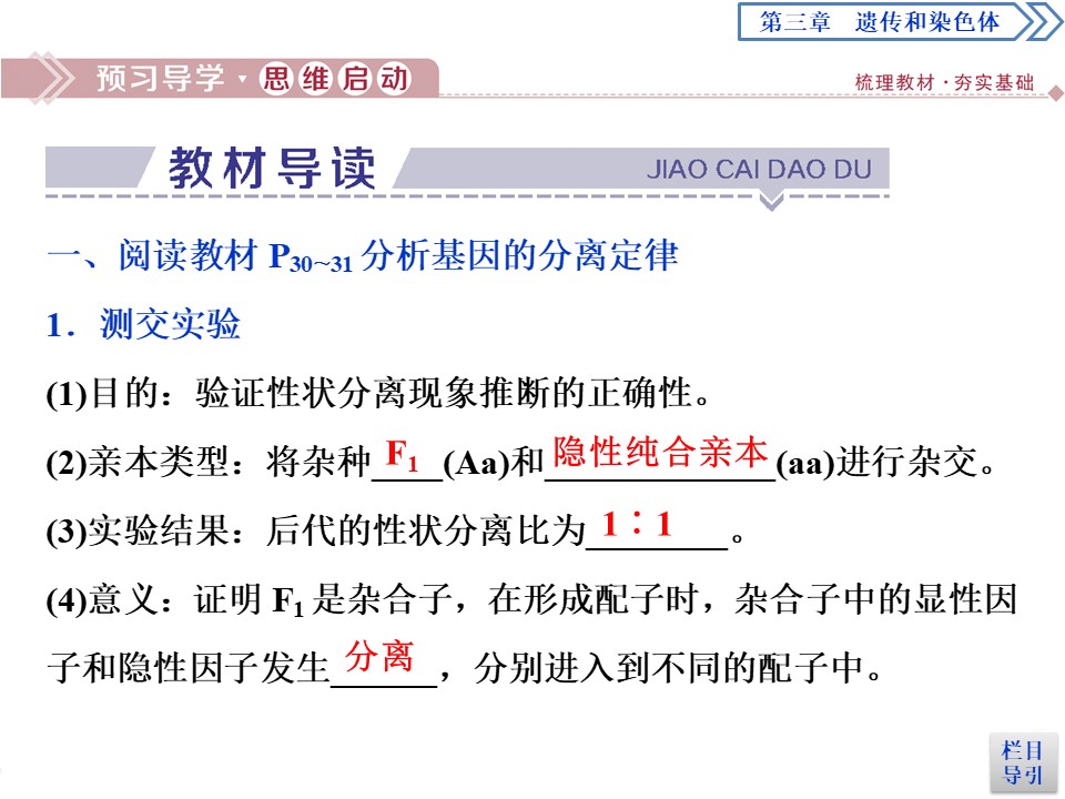 2019-2020学年新苏教版必修2 第三章 第一节　第2课时　基因的分离定律(二)、孟德尔获得成功的原因及分离定律的应用 课件（37张）第3页