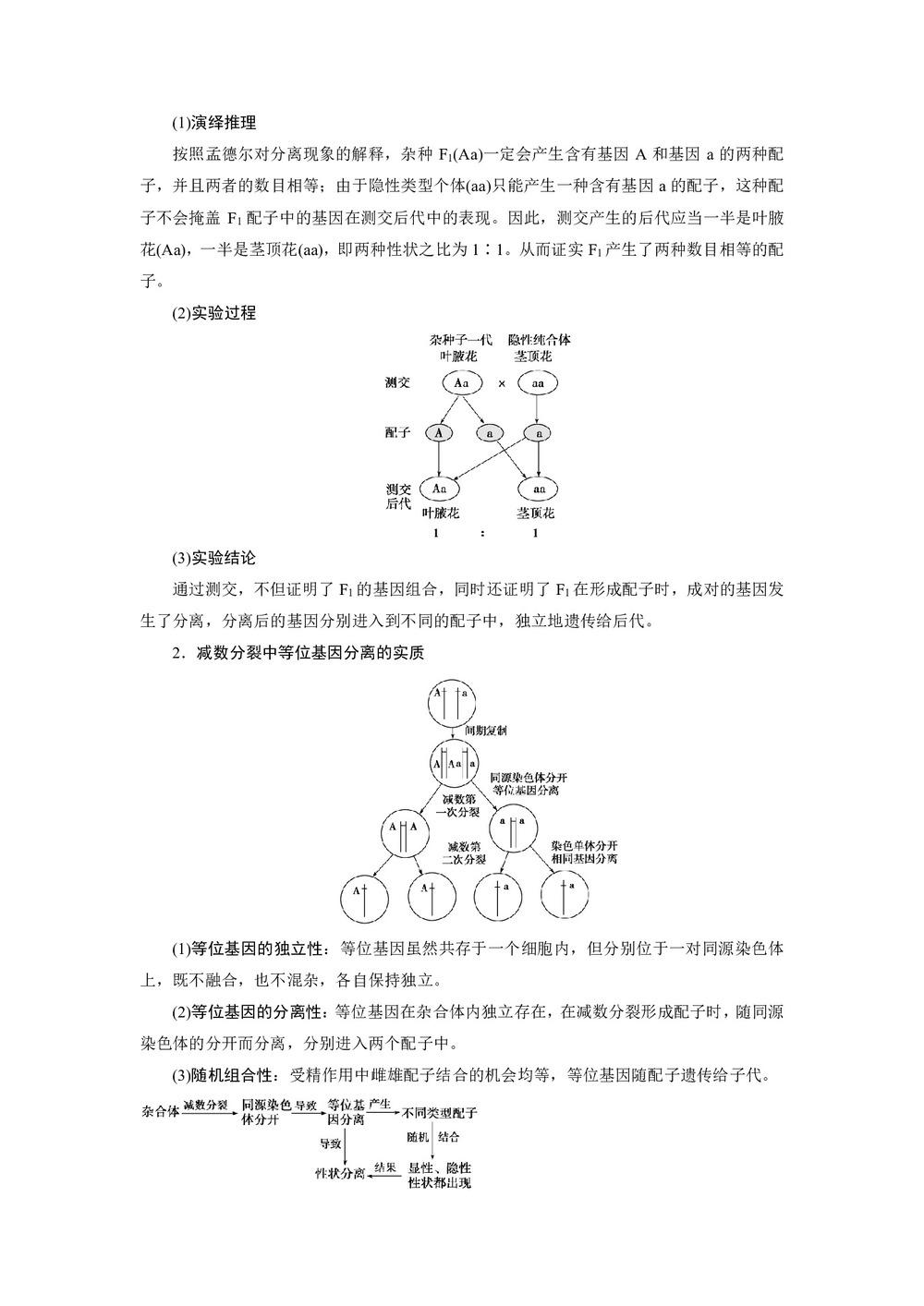 2019-2020学年北师大版必修2 第4章 第1节第2课时 分离规律的试验与分析(二)、分离规律在育种中的应用 学案第3页