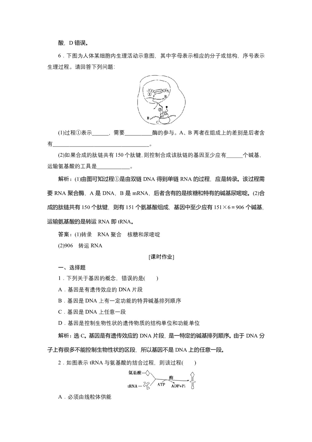 2019-2020学年新苏教版必修2 第四章 第三节　第1课时　从基因到蛋白质 作业第3页