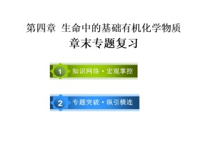 2019-2020学年人教版选修5 第四章 生命中的基础有机化学物质 章末专题复习 课件（42张）