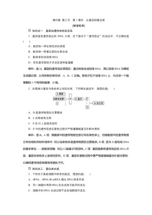 2019-2020学年新苏教版必修2 第四章 第三节　第1课时　从基因到蛋白质 作业