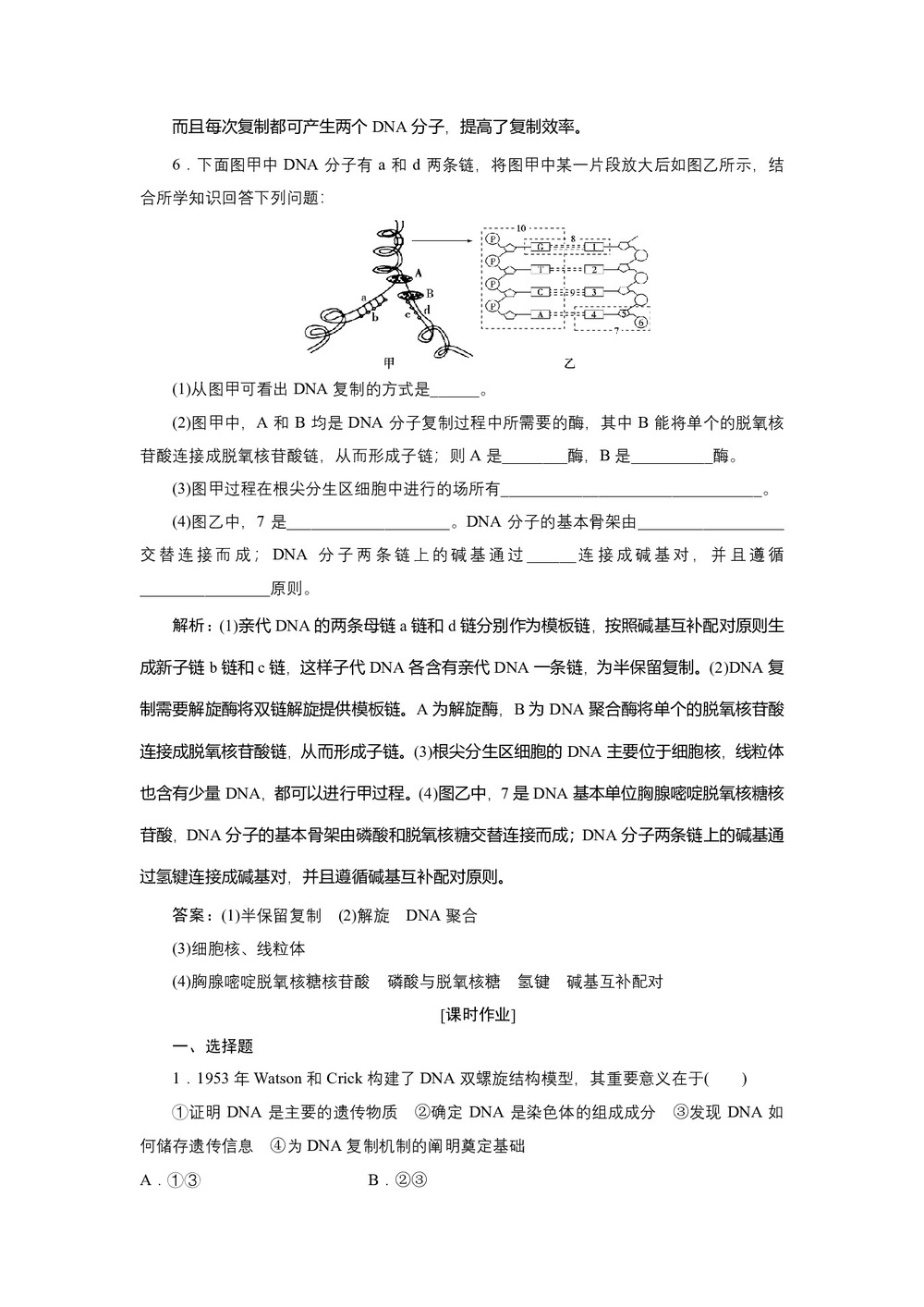 2019-2020学年新苏教版必修2 第四章 第二节 DNA分子的结构和复制 作业第3页