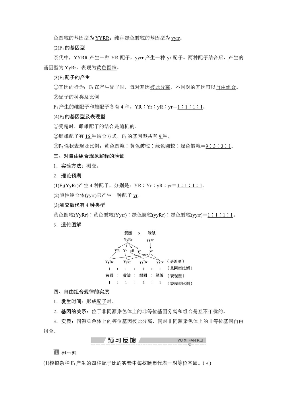 2019-2020学年北师大版必修2 第4章 第2节第1课时　自由组合规律的试验与分析 学案第2页